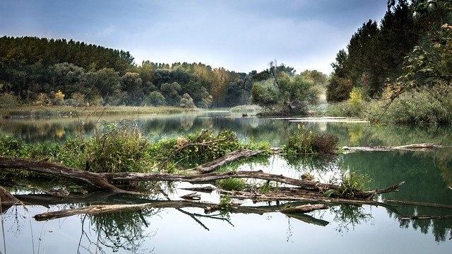 Fluss mit Landschaft, Bäume, Altholz, Nebel - Lubos Houska - Pixabay
