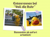 Enten fr das groe Entenrennen bei Voll die Ruhr knnen ab sofort gekauft werden. 
